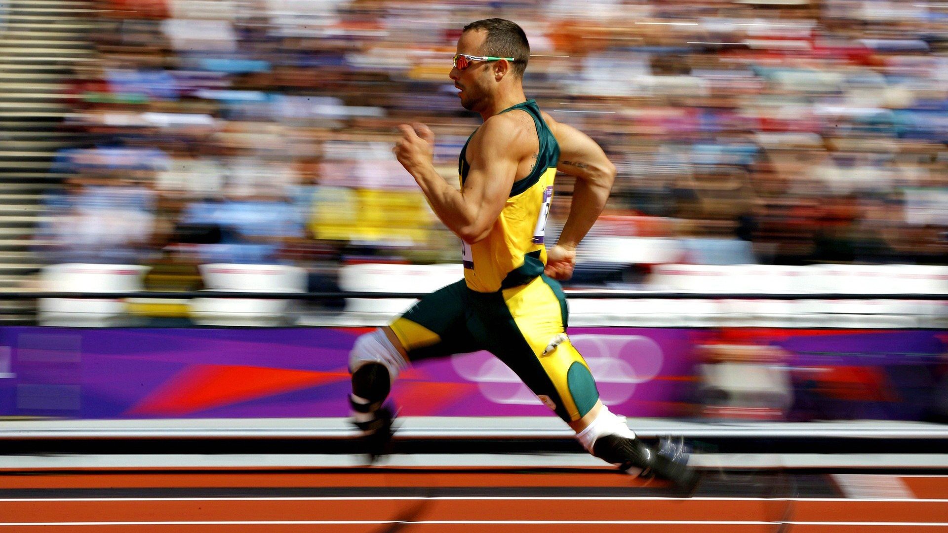 开云体育在线-伊朗马术协会与科技公司合作，开发虚拟现实训练平台，提升骑手技能。